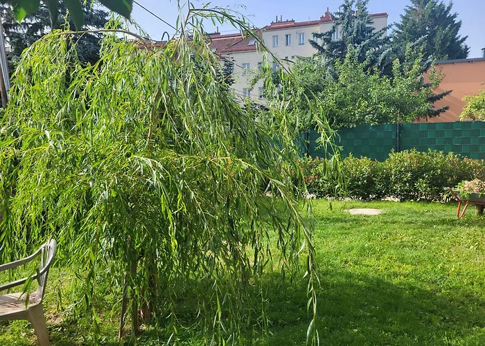 Apartamento - Alles Walzer - Sissys Style Nähe Schloss Schönbrunn U3 U4 51a 48a Frühstück Haustiere Terrasse Viena