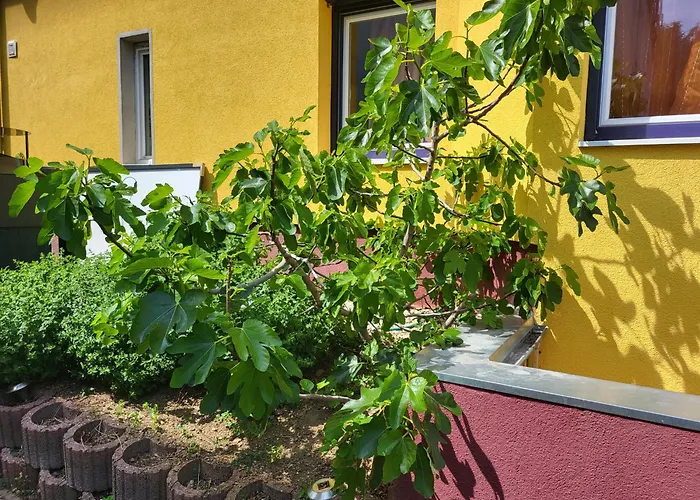 Apartamento - Alles Walzer - Sissys Style Nähe Schloss Schönbrunn U3 U4 51a 48a Frühstück Haustiere Terrasse *